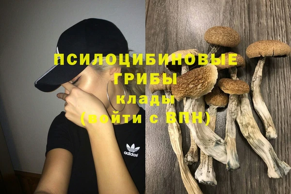 2c-b Верхнеуральск
