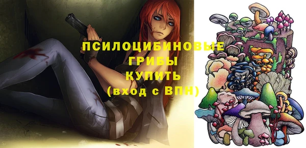 spice Верея