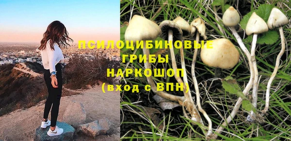 spice Верея