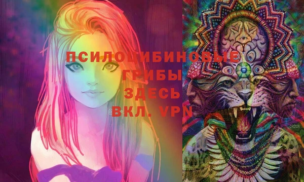 spice Верея